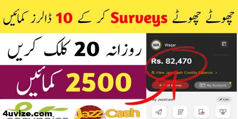 How To Earn Money from Suevey Heart App