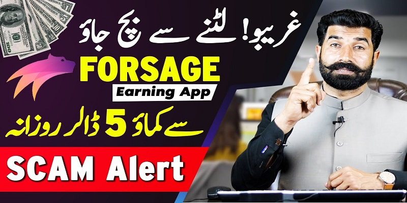 Forsage: The Most earning App in 2023